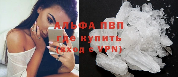 сатива Абинск
