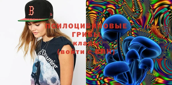 сатива Абинск