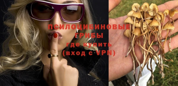 сатива Абинск