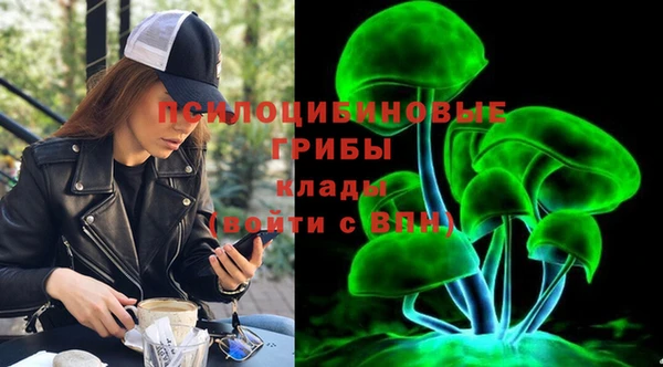 ешки Алексеевка