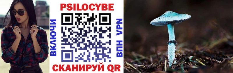 Псилоцибиновые грибы Psilocybe  Тетюши 