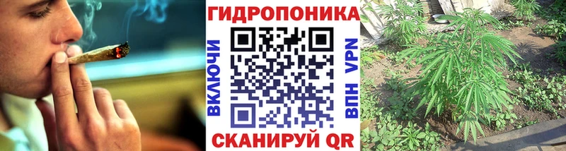 Марихуана план  Тетюши 